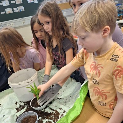 WhatsApp Image 2026-02-24 at 11.26.56 Kopie