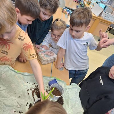 WhatsApp Image 2026-02-24 at 11.26.58