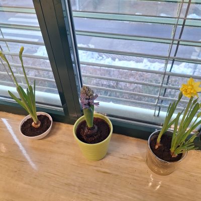 WhatsApp Image 2026-02-27 at 07.28.45